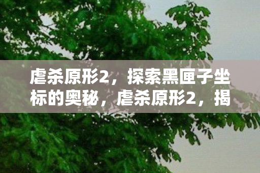 虐杀原形2，探索黑匣子坐标的奥秘，虐杀原形2，揭秘黑匣子坐标的奥秘