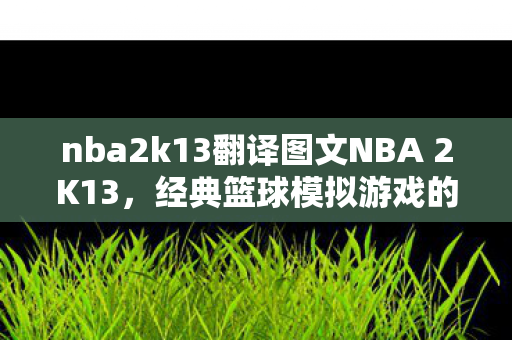 nba2k13翻译图文NBA 2K13，经典篮球模拟游戏的魅力与传承，NBA 2K13，经典篮球模拟游戏的魅力与传承