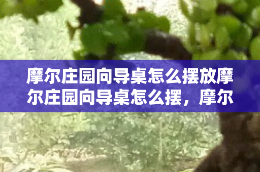 摩尔庄园向导桌怎么摆放摩尔庄园向导桌怎么摆，摩尔庄园，如何摆放向导桌？