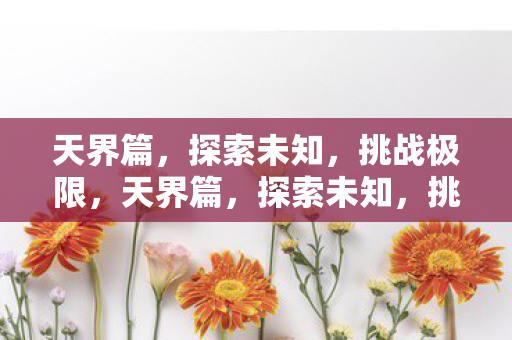 天界篇，探索未知，挑战极限，天界篇，探索未知，挑战极限的冒险之旅