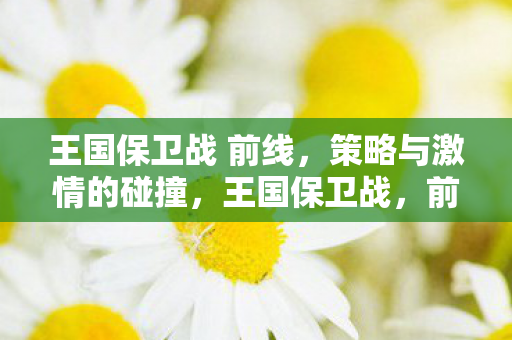 王国保卫战 前线，策略与激情的碰撞，王国保卫战，前线策略与激情的碰撞，战火燃起！