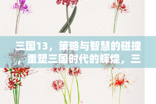 三国13，策略与智慧的碰撞，重塑三国时代的辉煌，三国13，策略与智慧的碰撞，重塑三国时代的辉煌