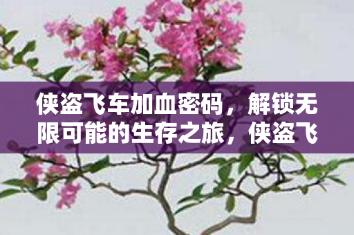 侠盗飞车加血密码，解锁无限可能的生存之旅，侠盗飞车加血密码，解锁无限生存之旅