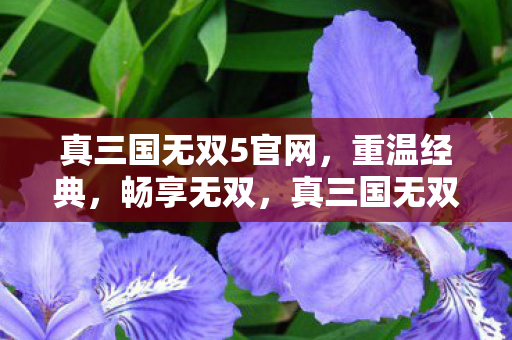 真三国无双5官网,重温经典,畅享无双,真三国无双5官网重温经典,畅享无双盛宴 真三国无双5官网,重温经典,畅享无双,真三国无双5官网重温经典,畅享无双盛宴