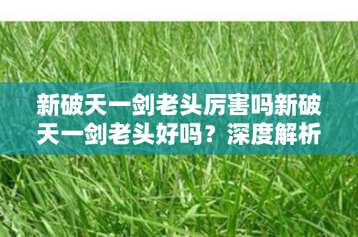 新破天一剑老头厉害吗新破天一剑老头好吗？深度解析游戏角色与体验，新破天一剑老头角色深度解析，实力与体验全面剖析