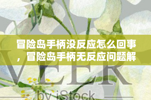 冒险岛手柄没反应怎么回事,冒险岛手柄无反应问题解析 冒险岛手柄没反应怎么回事,冒险岛手柄无反应问题解析