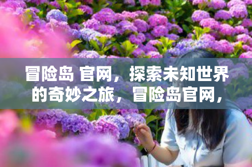 冒险岛 官网，探索未知世界的奇妙之旅，冒险岛官网，开启探索未知世界的奇妙之旅