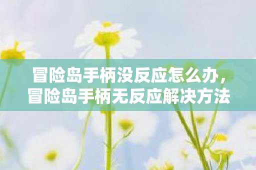 冒险岛手柄没反应怎么办，冒险岛手柄无反应解决方法