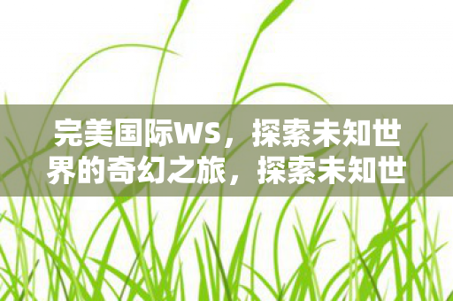 完美国际WS，探索未知世界的奇幻之旅，探索未知世界的奇幻之旅，完美国际WS