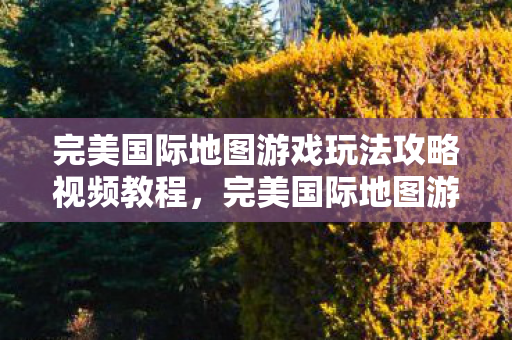 完美国际地图游戏玩法攻略视频教程，完美国际地图游戏玩法全解析