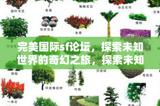 完美国际sf论坛，探索未知世界的奇幻之旅，探索未知世界的奇幻之旅，完美国际sf论坛