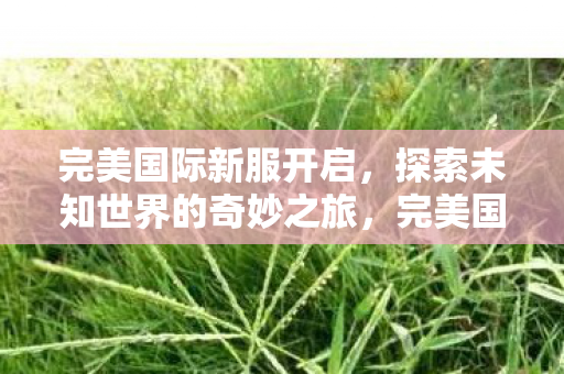 完美国际新服开启，探索未知世界的奇妙之旅，完美国际新服开启，探索未知世界的奇妙之旅
