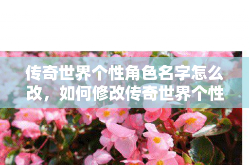 传奇世界个性角色名字怎么改，如何修改传奇世界个性角色名字？