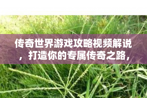 传奇世界游戏攻略视频解说，打造你的专属传奇之路，打造专属传奇之路，传奇世界游戏攻略视频解说