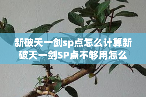 新破天一剑sp点怎么计算新破天一剑SP点不够用怎么办，新破天一剑SP点计算及不够用解决方案