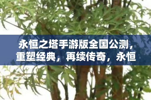 永恒之塔手游版全国公测，重塑经典，再续传奇，永恒之塔手游版全国公测，重塑经典，再续传奇