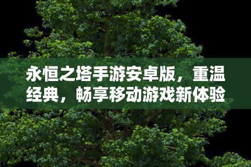 永恒之塔手游安卓版，重温经典，畅享移动游戏新体验，永恒之塔手游安卓版，重温经典，畅享移动游戏新体验