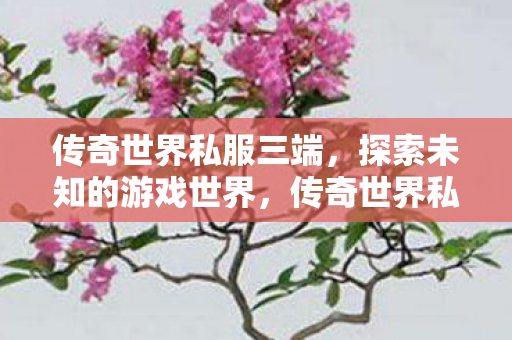 传奇世界私服三端，探索未知的游戏世界，传奇世界私服三端，探索未知游戏世界的奇妙之旅