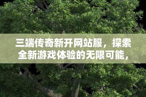三端传奇新开网站服，探索全新游戏体验的无限可能，三端传奇新开网站服，探索全新游戏体验的无限可能