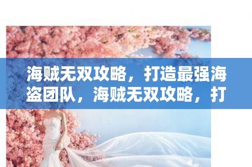 海贼无双攻略，打造最强海盗团队，海贼无双攻略，打造最强海盗团队，称霸海域！