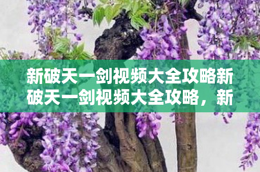 新破天一剑视频大全攻略新破天一剑视频大全攻略，新破天一剑视频大全攻略，助你成为游戏高手