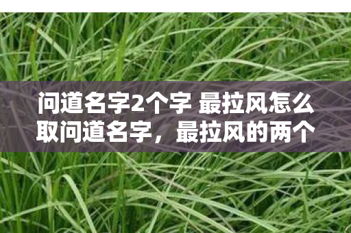问道名字2个字 最拉风怎么取问道名字，最拉风的两个字，问道名字，如何打造最拉风的二字昵称？