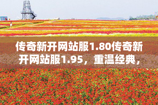 传奇新开网站服1.80传奇新开网站服1.95,重温经典,再燃激情,重温经典再燃激情,传奇新开网站服1.80/1.95上线 传奇新开网站服1.80传奇新开网站服1.95,重温经典,再燃激情,重温经典再燃激情,传奇新开网站服1.80/1.95上线