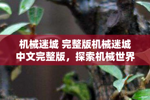 机械迷城 完整版机械迷城中文完整版，探索机械世界的奇妙之旅，机械迷城中文完整版，探索机械世界的奇妙之旅