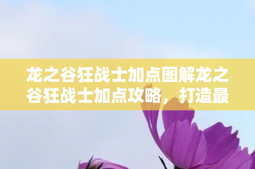 龙之谷狂战士加点图解龙之谷狂战士加点攻略，打造最强战斗力的关键，龙之谷狂战士加点攻略，打造最强战斗力的关键