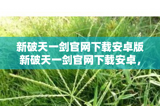 新破天一剑官网下载安卓版新破天一剑官网下载安卓，畅享经典，安全无忧，新破天一剑官网下载安卓版，重温经典，安全无忧