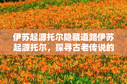 伊苏起源托尔隐藏道路伊苏起源托尔，探寻古老传说的神秘之旅，伊苏起源托尔，探寻古老传说的神秘之旅