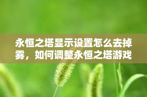 如何调整永恒之塔游戏设置以去除画面雾效图片