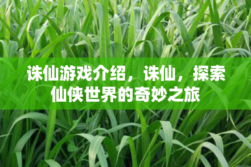 诛仙游戏介绍，诛仙，探索仙侠世界的奇妙之旅