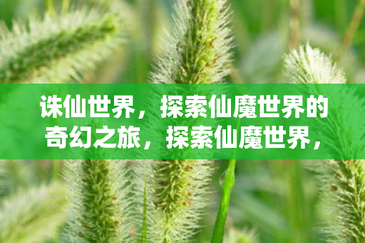 诛仙世界,探索仙魔世界的奇幻之旅,探索仙魔世界,诛仙世界的奇幻之旅 诛仙世界,探索仙魔世界的奇幻之旅,探索仙魔世界,诛仙世界的奇幻之旅