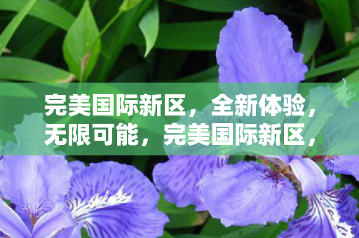 完美国际新区，全新体验，无限可能，完美国际新区，开启全新体验，探索无限可能