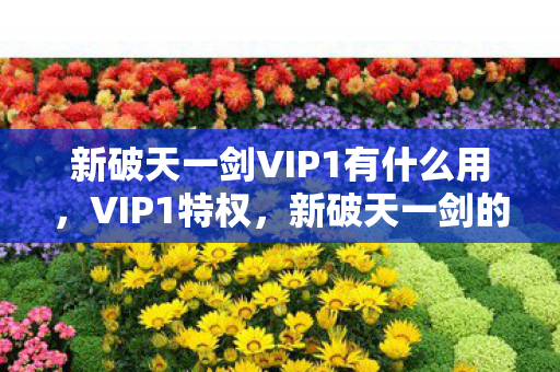 新破天一剑VIP1有什么用图片
