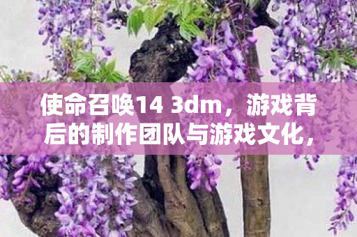 使命召唤14 3dm,游戏背后的制作团队与游戏文化,使命召唤14背后的制作团队与游戏文化揭秘 使命召唤14 3dm,游戏背后的制作团队与游戏文化,使命召唤14背后的制作团队与游戏文化揭秘