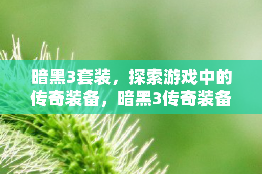 暗黑3套装,探索游戏中的传奇装备,暗黑3传奇装备,探索游戏中的套装 暗黑3套装,探索游戏中的传奇装备,暗黑3传奇装备,探索游戏中的套装