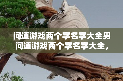 问道游戏两个字名字大全男问道游戏两个字名字大全，问道游戏男生两个字名字精选
