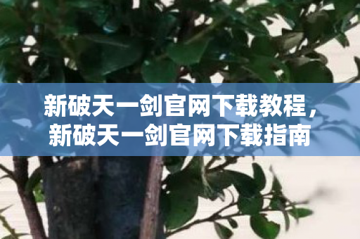 新破天一剑官网下载教程图片