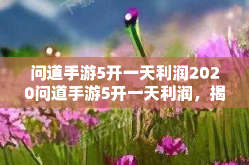 问道手游5开一天利润2020问道手游5开一天利润，揭秘多开账号的盈利之道，揭秘问道手游5开账号一天能赚多少利润？