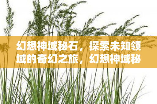 幻想神域秘石，探索未知领域的奇幻之旅，幻想神域秘石，探索未知领域的奇幻之旅