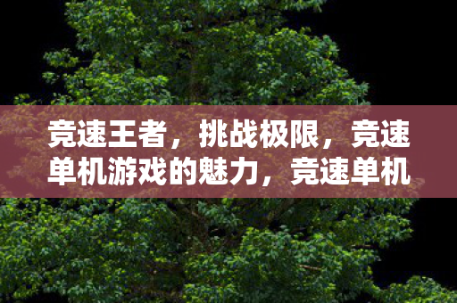 竞速王者，挑战极限，竞速单机游戏的魅力，竞速单机游戏，挑战极限，竞速王者魅力无限
