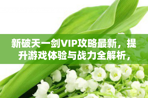 新破天一剑VIP攻略最新,提升游戏体验与战力全解析,新破天一剑VIP攻略,提升战力与游戏体验全解析 新破天一剑VIP攻略最新,提升游戏体验与战力全解析,新破天一剑VIP攻略,提升战力与游戏体验全解析