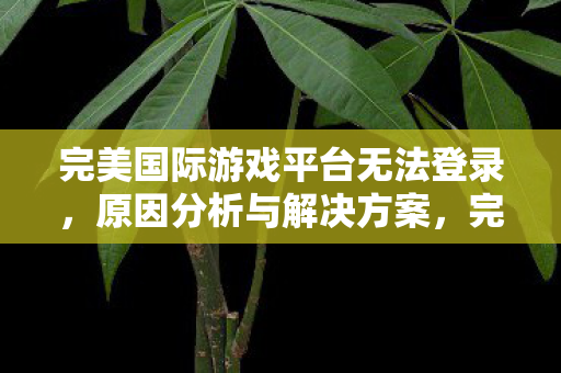 完美国际游戏平台无法登录，原因分析与解决方案，完美国际游戏平台登录问题分析及解决策略