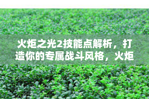 火炬之光2技能点解析，打造你的专属战斗风格，火炬之光2技能点解析，打造专属战斗风格