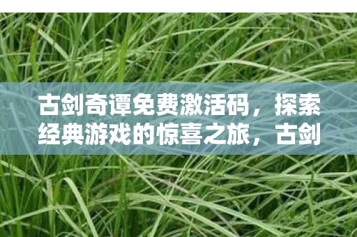 古剑奇谭免费激活码，探索经典游戏的惊喜之旅，古剑奇谭免费激活码，开启经典游戏的惊喜之旅