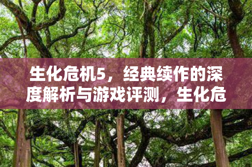生化危机5，经典续作的深度解析与游戏评测，生化危机5深度解析与游戏评测，经典续作的魅力与挑战