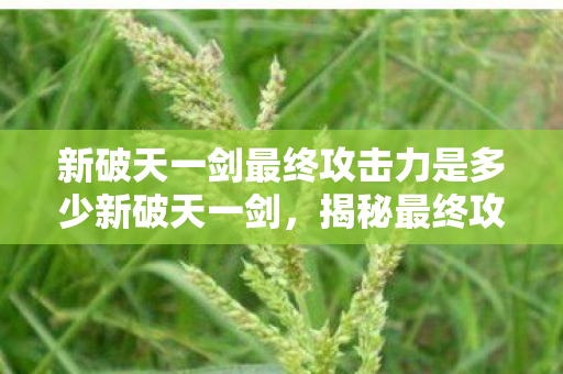 新破天一剑最终攻击力是多少新破天一剑，揭秘最终攻击力的奥秘，揭秘新破天一剑最终攻击力的奥秘