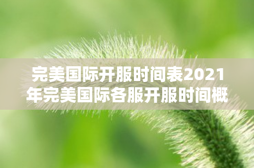 完美国际开服时间表2021年完美国际各服开服时间概览，2021年完美国际各服开服时间全解析